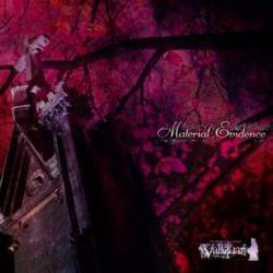 Vallquar : Material Evidence